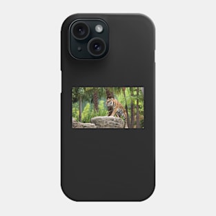 The Tiger Phone Case