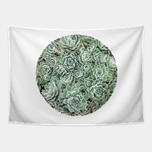 Succulent Bed Tapestry