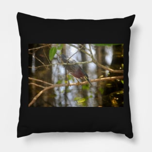 Green Heron Pillow