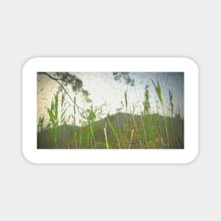 Pampas Grass Magnet