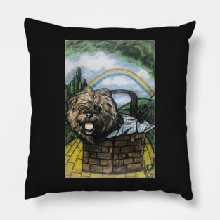 No place like home with Leo Pillow