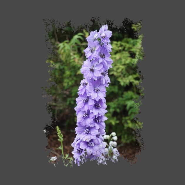 Delphinium by Nicole Gath Photography