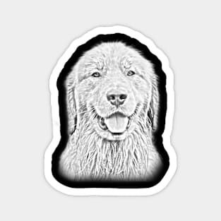 Golden Retriever Sketch Design Magnet