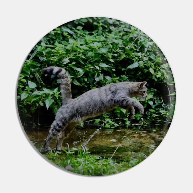 Wild cat jump Pin by Wolf Art / Swiss Artwork Photography