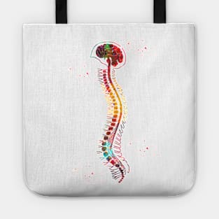 Brain with spinal cord Tote