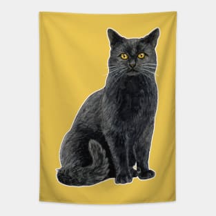 Black cat with golden eyes Tapestry