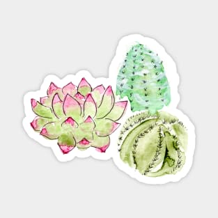 succulent trio Magnet