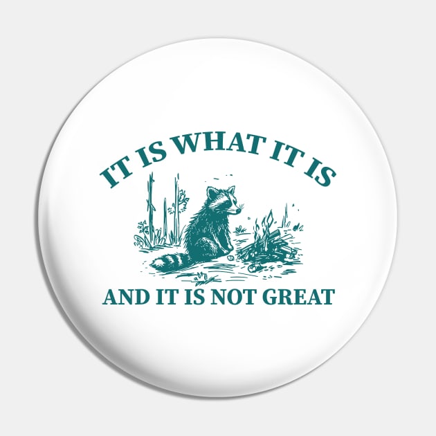 It Is What It Is And It Is Not Great funny raccoon Pin by SonyaKorobkova