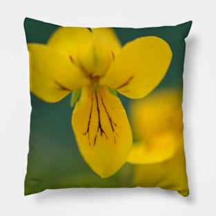 Yellow viola flower Pillow