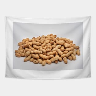 Dried peanuts on white background Tapestry