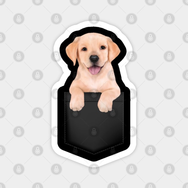 Labrador Retriever in Pocket Funny Labrador Retriever Magnet by Mind Your Tee