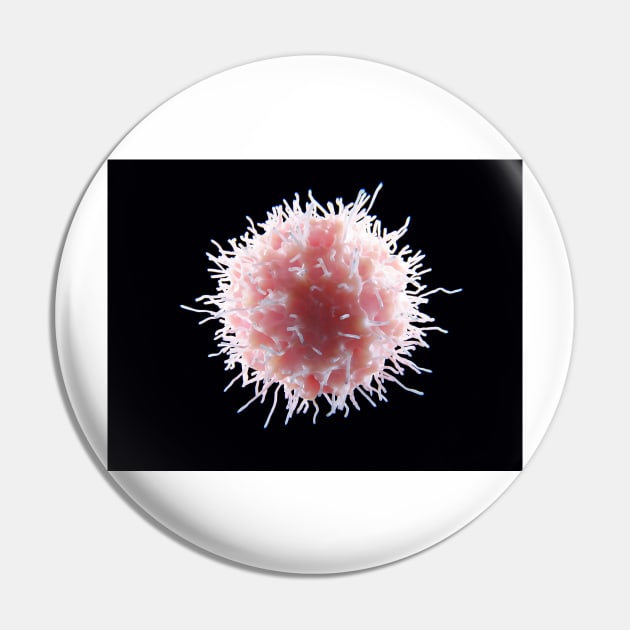 Natural killer cell, illustration, (F033/6127) Pin by SciencePhoto