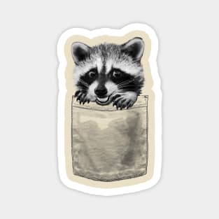 Raccoon in Pocket Magnet