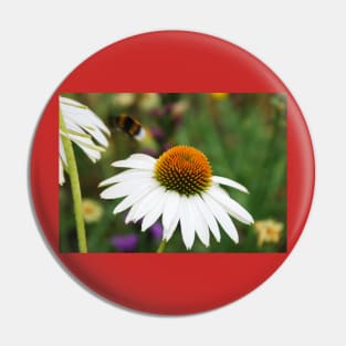 Echinacea Purpurea with Bee Pin