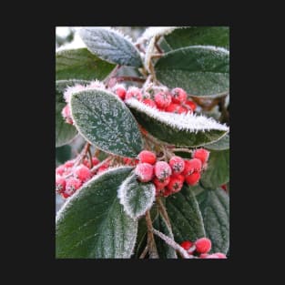 Frost Berries: close-up photo of red berries and green leaves with white frost T-Shirt