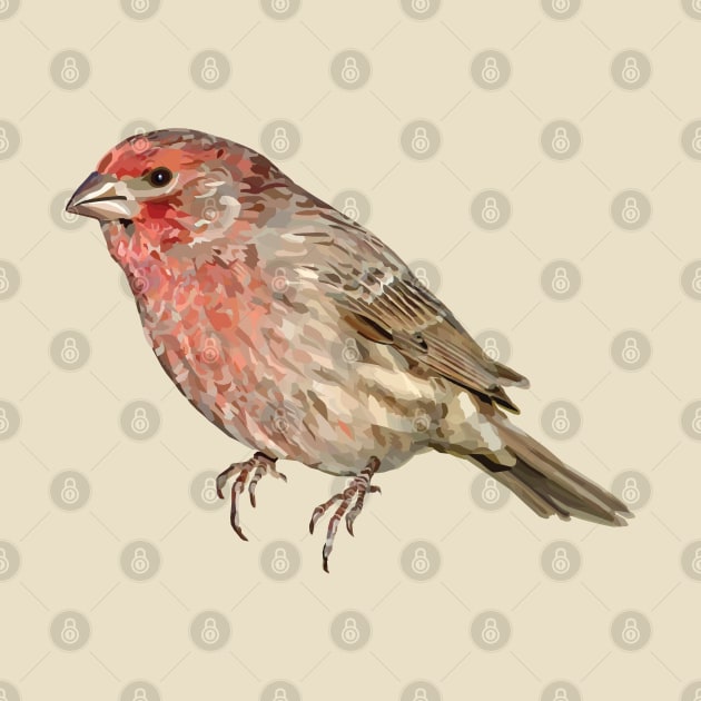 House Finch Song Bird Colorful Illustration by MariaWorkman