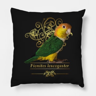 caique Pillow