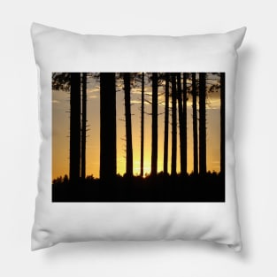 Trees Pillow