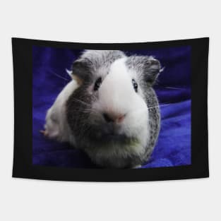 Nose boop pig Tapestry