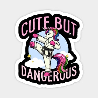 Cute But Dangerous Funny Karate Martial Arts Unicorn Girls Magnet