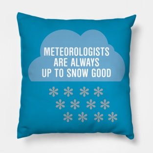 Meteorologists Are Always Up To Snow Good Pillow
