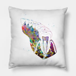 Molar Tooth Section Pillow