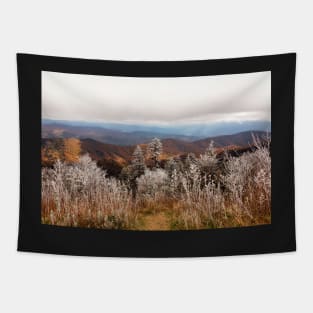 Frosted Autumn Smoky Mountains Tapestry