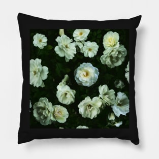 Cool White Roses Pillow