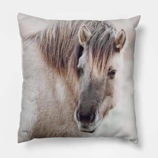 Konik Horse Portrait | Horse Photography | Horse Fine Art Print Pillow