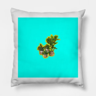 Plants in Rattan Baskets Pillow