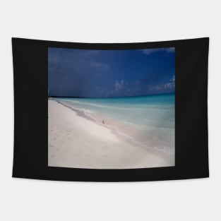 Beach Tapestry