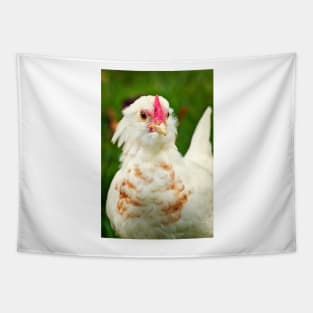 White Barbu d'Uccle bantam chicken Tapestry
