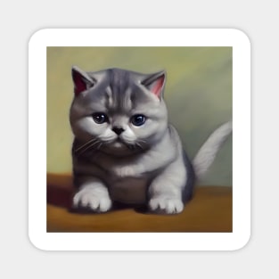 cute british shorthair cat kitten 1 Magnet