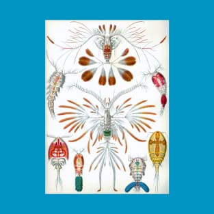 Copepoda by Ernst Haeckel T-Shirt