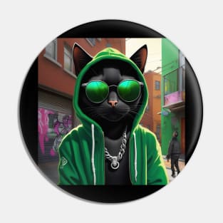 A black cat as a rap hiphop artist  in the alleyways of his home town. Pin