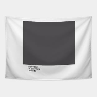 pantone 18-3907 TCX Tornado Tapestry