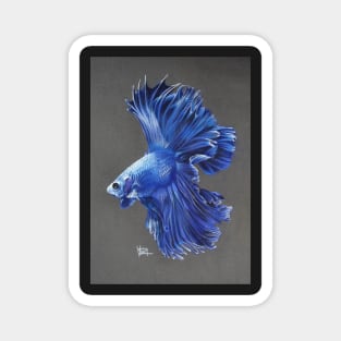 Blue Betta Fish Magnet