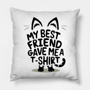 My cat and my best friend Pillow