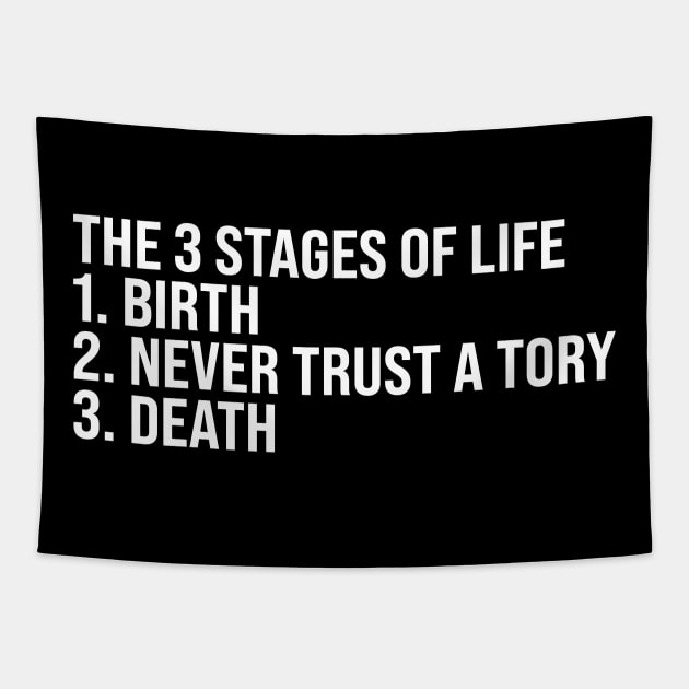 The 3 Stages of Life Tapestry by n23tees