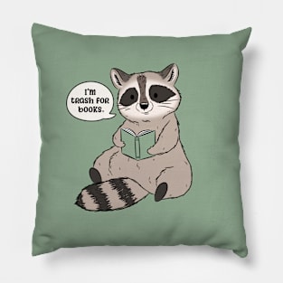 trash for books Pillow