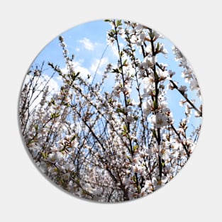 Branches with Tiny Pink Flowers Photograph Pin