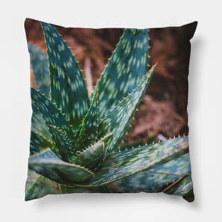 Green Agave Pillow