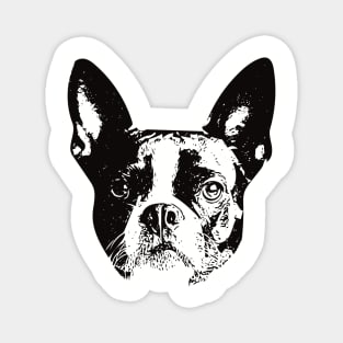 Boston gift for Boston Terrier Owners Magnet