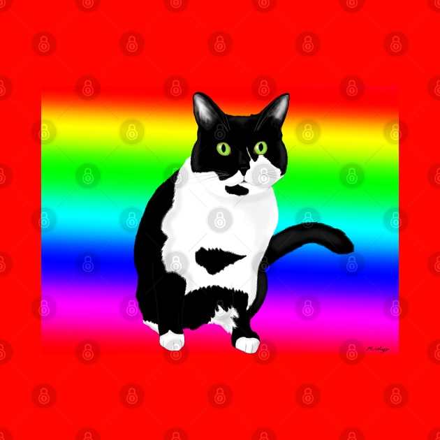 Black and white kitty on rainbow by MelanieJeyakkumar