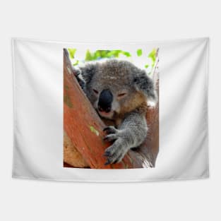 Koala Tapestry
