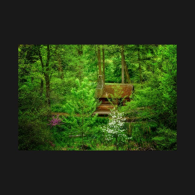 A Cabin In The Woods by JimDeFazioPhotography