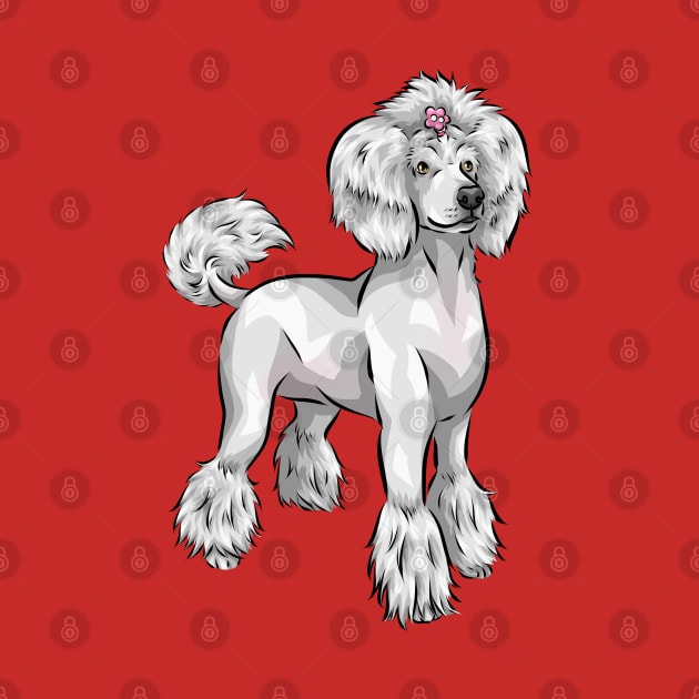Fabulous White Standard Poodle Dog by Shirin Illustration