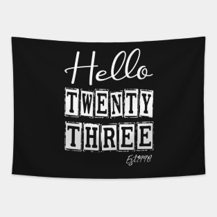 Hello Twenty three Est.1998 23th Funny Birthday Tapestry