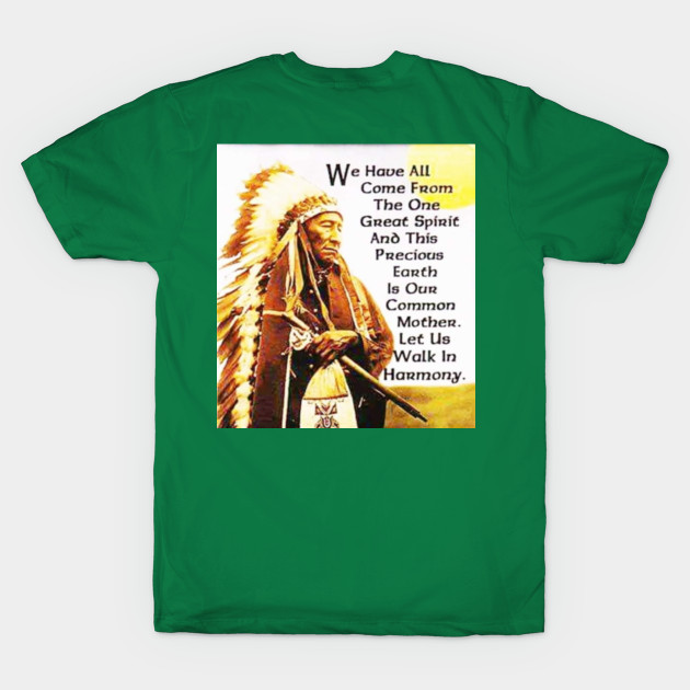 Disover Native American - Native American - T-Shirt