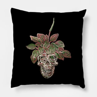 Skull Planter Peperomia Pillow